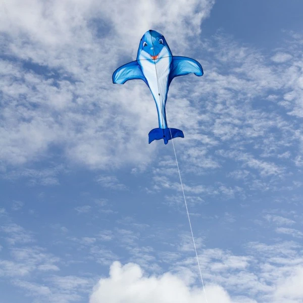 Invento Drachen Dolphin Kite 200 Cm Einleiner – Bild 2