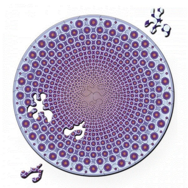 Curiosi Double Puzzle Points – Bild 2