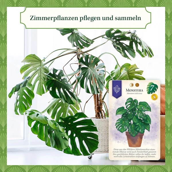 Kosmos Gesellschaftsspiel Sattgrün – Bild 6