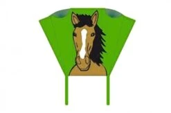 Invento HQ Drachen Pocket Sled Bronco