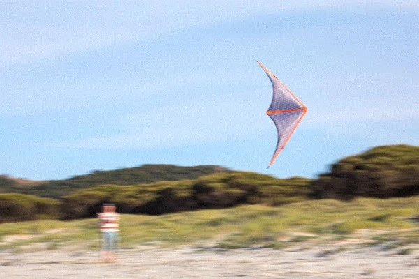 Invento Drachen Stormy Pete Graphite R2F – Bild 2