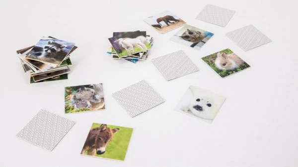 Remember 44 Tierbabies In Der Magnetbox – Bild 3