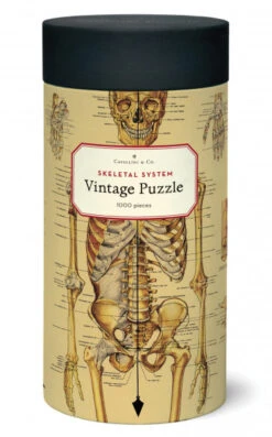 Cavallini & Co. Vintage Puzzle Skeletal System 1000 Teile