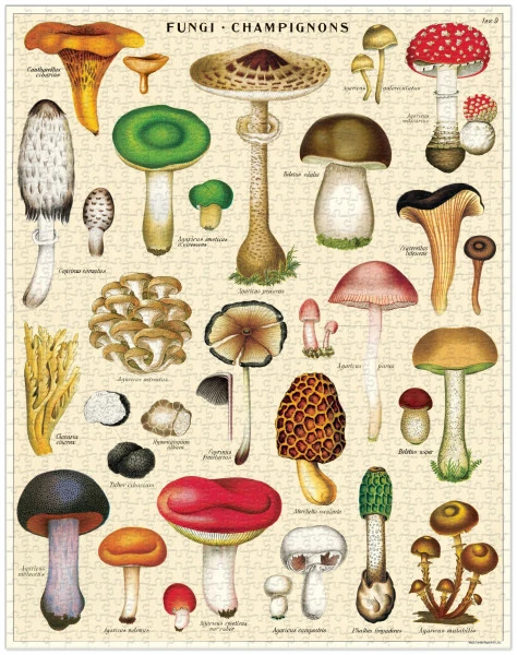 Cavallini & Co. Vintage Puzzle Mushrooms 1000 Teile – Bild 3